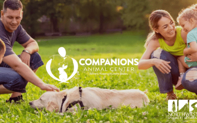 NWSH in the Community: Companions Animal Center
